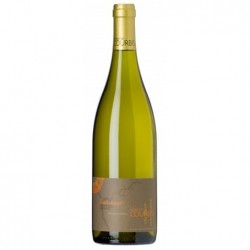 SAINT JOSEPH blanc 2020 Domaine COURBIS 75cl