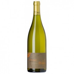 SAINT JOSEPH blanc 2016 Domaine COURBIS 75cl