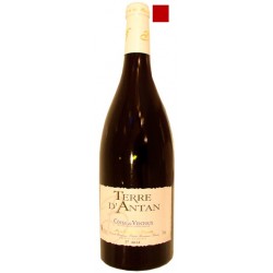 VENTOUX rouge 2015 Cave de BONNIEUX Cuvée Terre d'Antan 75cl