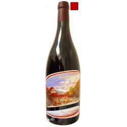 SAINT JOSEPH rouge 2022 Domaine PIERRE GAILLARD Les Pierres 75cl