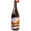 SAINT JOSEPH rouge 2022 Domaine PIERRE GAILLARD Les Pierres 75cl