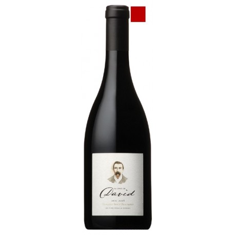 LIRAC rouge 2012 Domaine BRICE BEAUMONT cuvée de DAVID 75cl