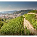 ► Crozes Hermitage